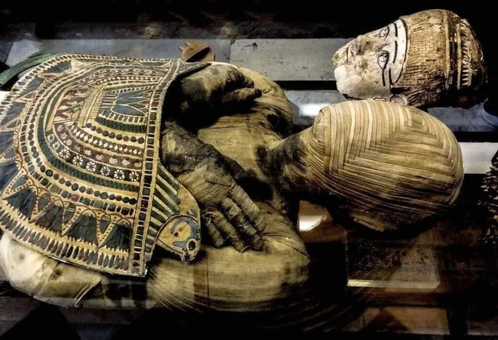 عبقرية المصريين القدماء : لغز مومياء "باشيري"