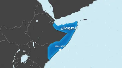 السيسي في إتصال من رئيس الصومال : مصر حريصة على أمن واستقرار وسيادة الصومال