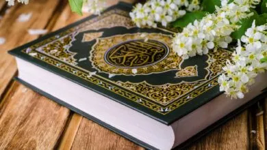 مشاهد من القرآن الكريم تعلمنا قضية الإيمان